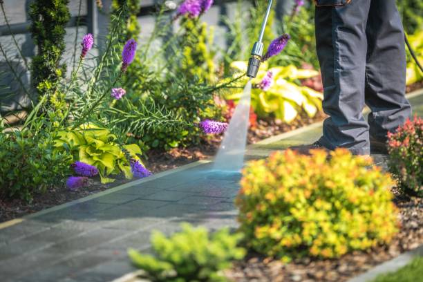 Best Fence Cleaning  in Brookhaven, PA