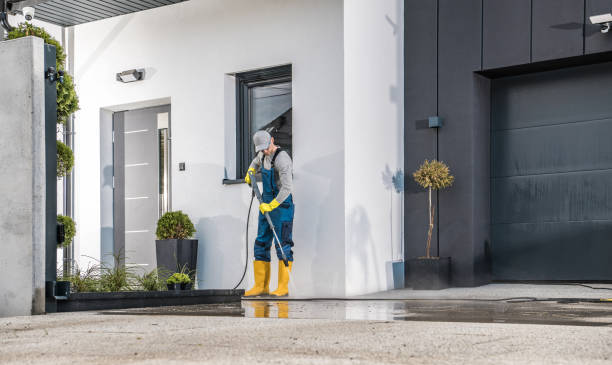Best Gutter Cleaning  in Brookhaven, PA